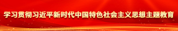 极品美女搞大鸡巴学习贯彻习近平新时代中国特色社会主义思想主题教育